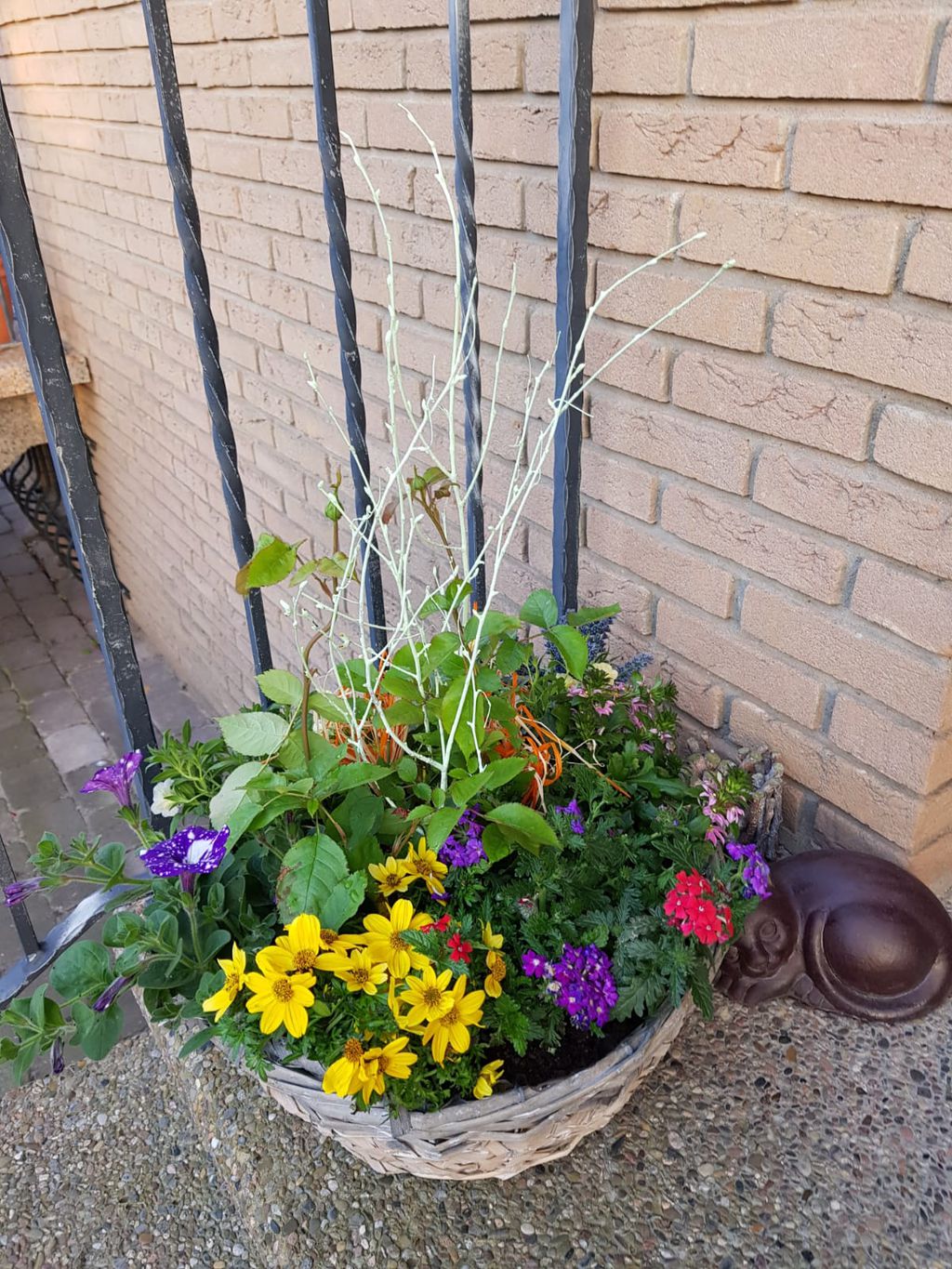 Nutzerfoto 1 Sybille's Blumeneck