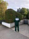 Das Örtliche