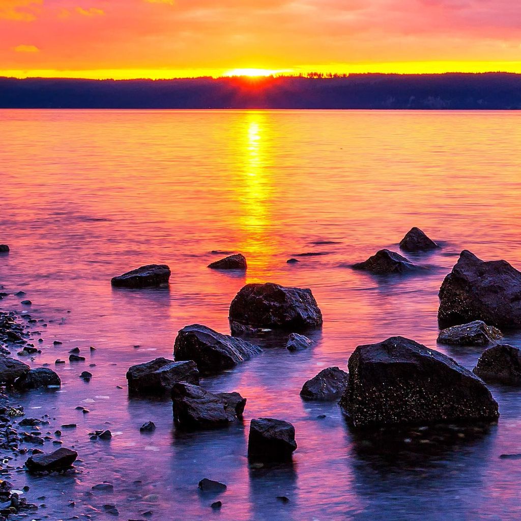 Nutzerfoto 5 Castor Reiner