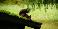 Nutzerfoto 1 waldhotel AUSZEIT