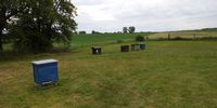 Nutzerfoto 4 Kuhnke Dagmar , Kuhnke Reinhard Imkerei