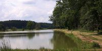 Nutzerfoto 2 Flierl Ewald