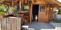 Nutzerfoto 2 Schlipf Tanja Hundepension