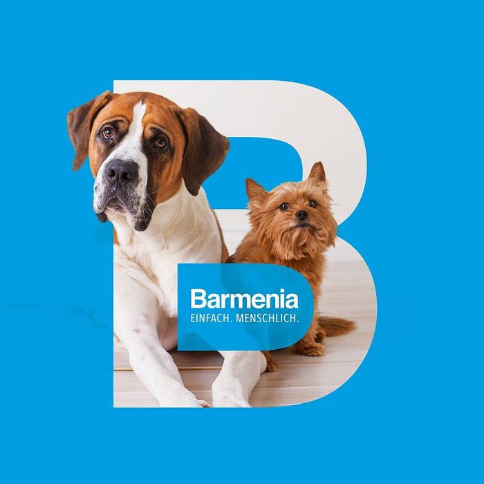 Barmenia Versicherung - Mario Robin Heine