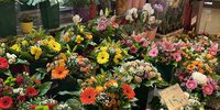 Nutzerfoto 3 Blumenladen Ubhf Alt Mariendorf Cong Tuan Nguyen Einzelunternehmen