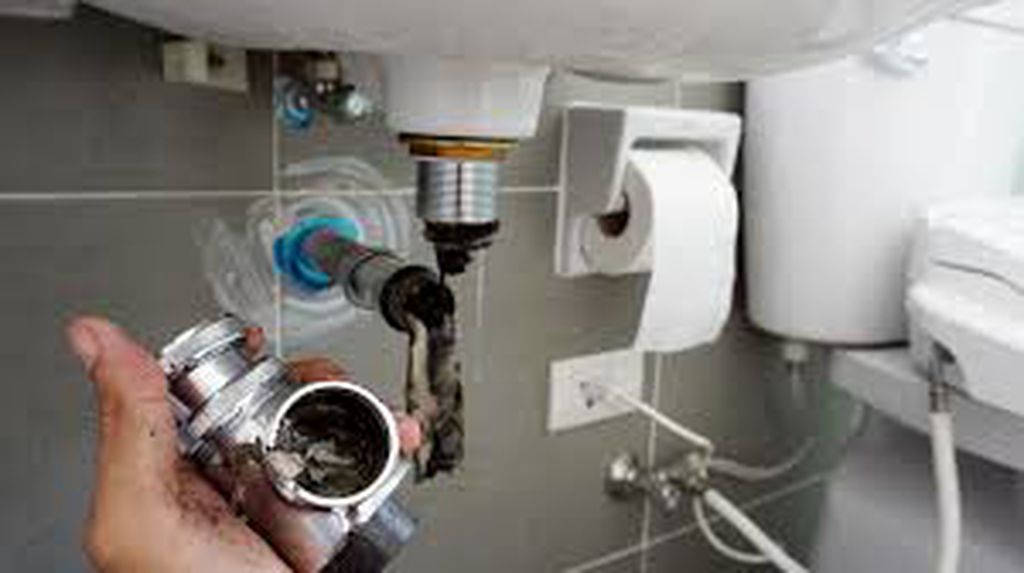 Nutzerfoto 2 Kammerjäger Kirsch