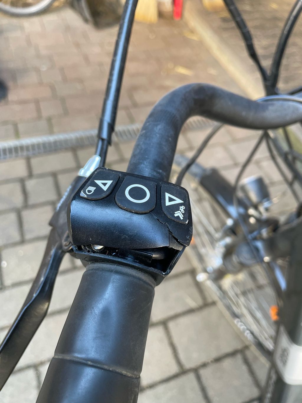 Nutzerfoto 1 Fahrrad Wolf
