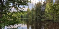 Nutzerfoto 1 Waldrasthaus