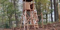 Nutzerfoto 1 MeinHochsitz.de
