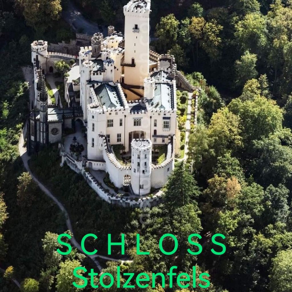 Nutzerfoto 6 Castor Reiner