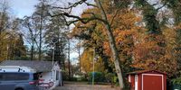 Nutzerfoto 2 Bremer Baumpflege