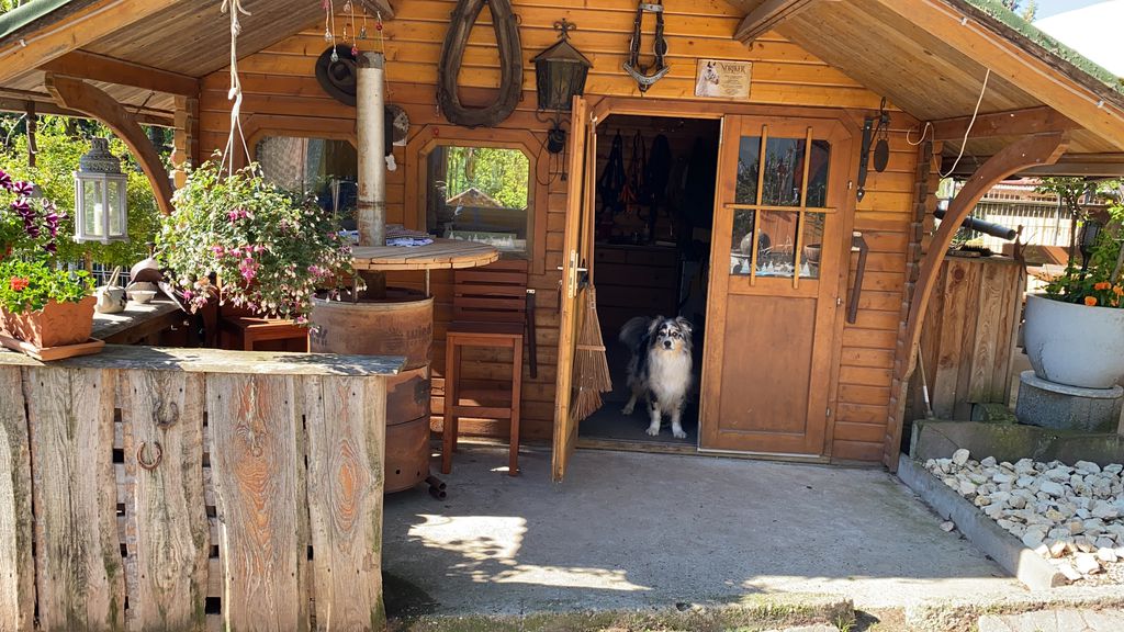 Nutzerfoto 2 Schlipf Tanja Hundepension