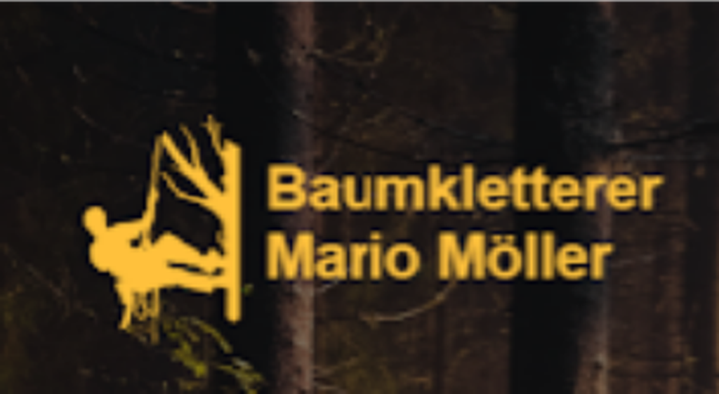 Nutzerfoto 14 Baumkletterer und Baumpfleger Mario Möller Nutzerfoto 14 Baumkletterer und Baumpfleger Mario Möller