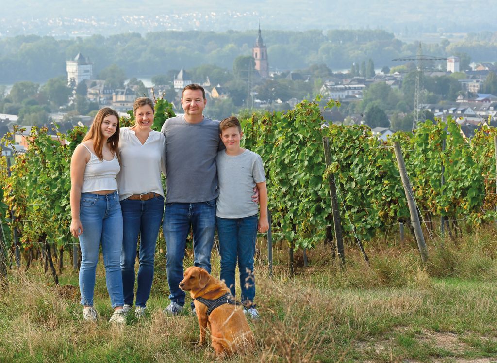 Nutzerfoto 4 Ernst H. J. Weingut