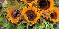 Nutzerfoto 4 Busam Karl-Heinz Blumenhaus