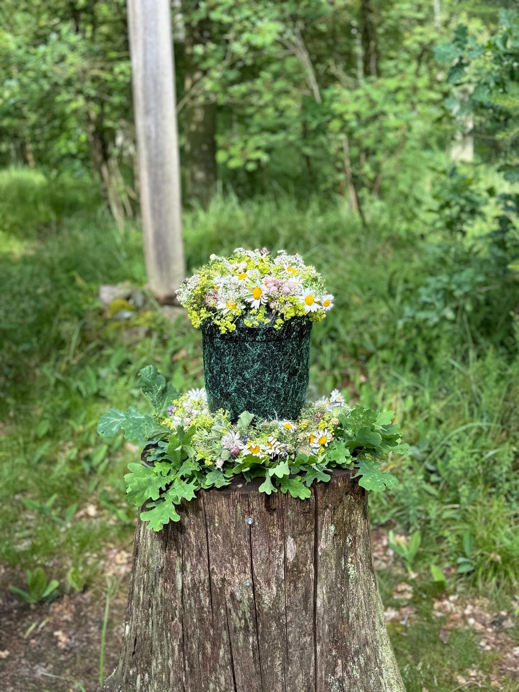 Nutzerfoto 3 Röhl Franka Blumen Nutzerfoto 3 Röhl Franka Blumen