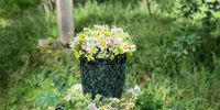 Nutzerfoto 5 Röhl Franka Blumen