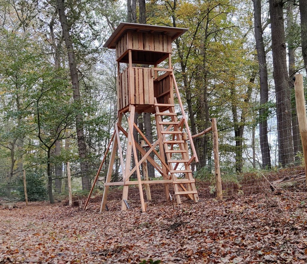 Nutzerfoto 1 MeinHochsitz.de Nutzerfoto 1 MeinHochsitz.de