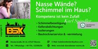 Nutzerfoto 1 BSK Schimmelsanierung Worms