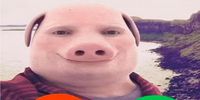 Nutzerfoto 1 Narendji Mehrdad