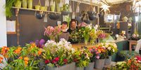 Nutzerfoto 2 Blumenladen Birgit Schmitt