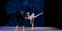 Nutzerfoto 7 Hamelner Ballettschule