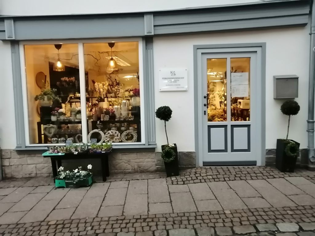 Nutzerfoto 1 VERGISSMEINNICHT Katharina Schäfer