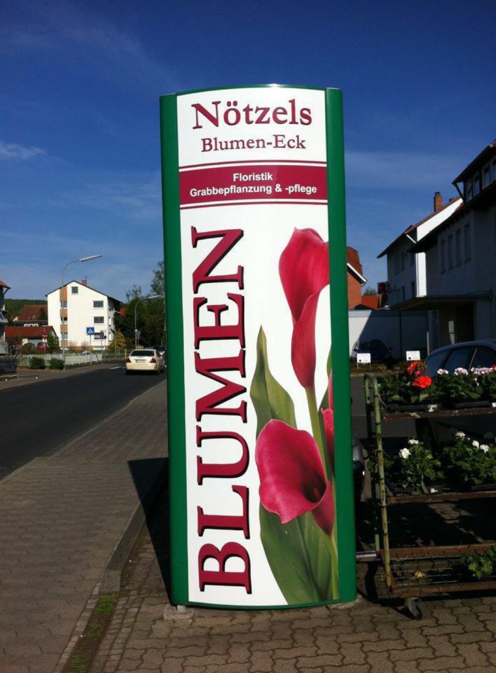 Nutzerfoto 2 Nötzel, Iris