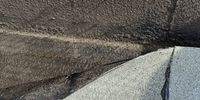 Nutzerfoto 2 Dachservice Schopper