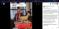 Nutzerfoto 1 DRK Begegnungsstätte