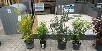 Nutzerfoto 2 OBI Markt Velbert
