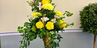 Nutzerfoto 11 Röhl Franka Blumen