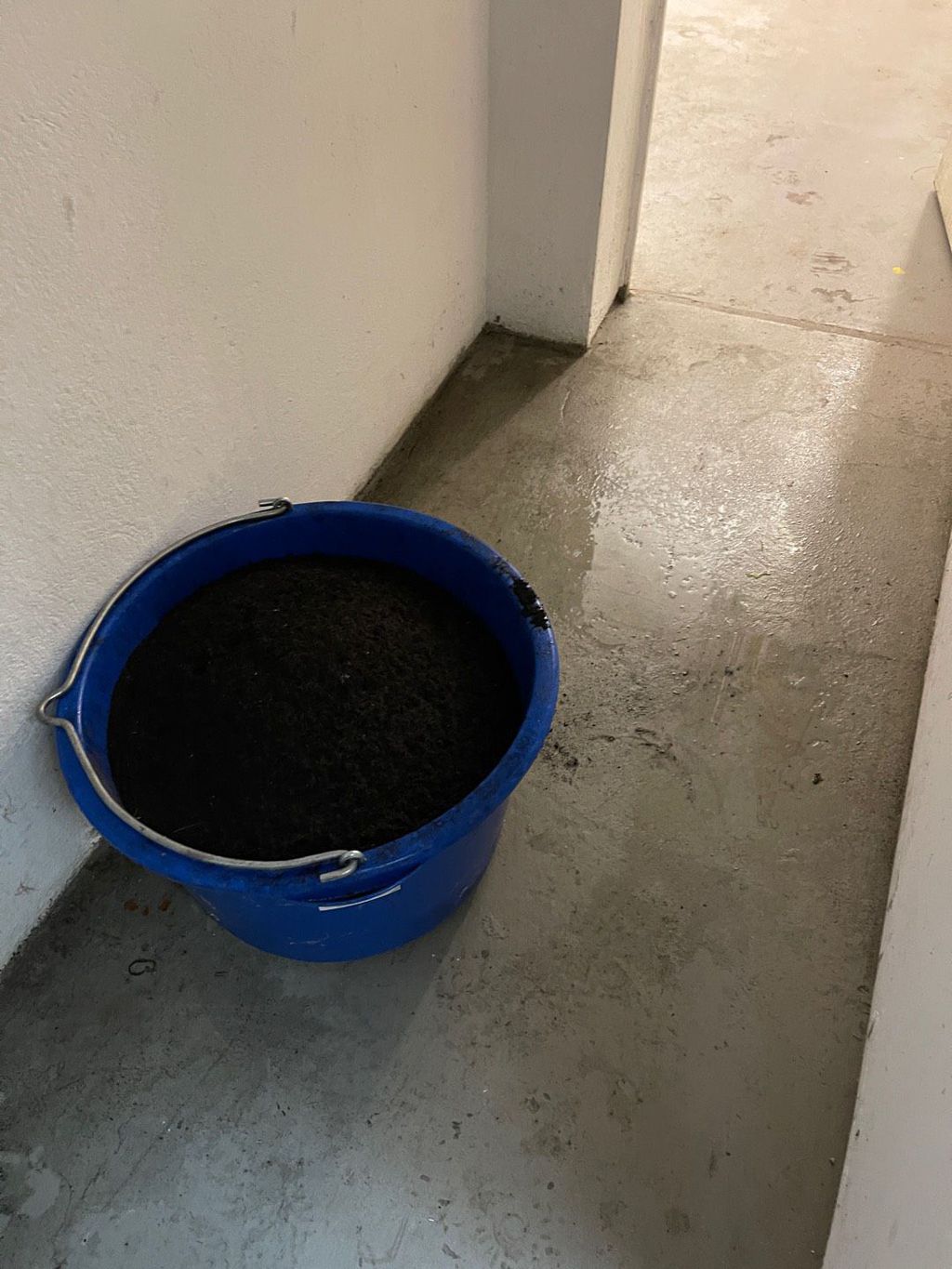 Nutzerfoto 3 Ortwin Krestel Krestel Gebäudemanagement