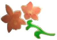Thai-Orchid Massage Logo