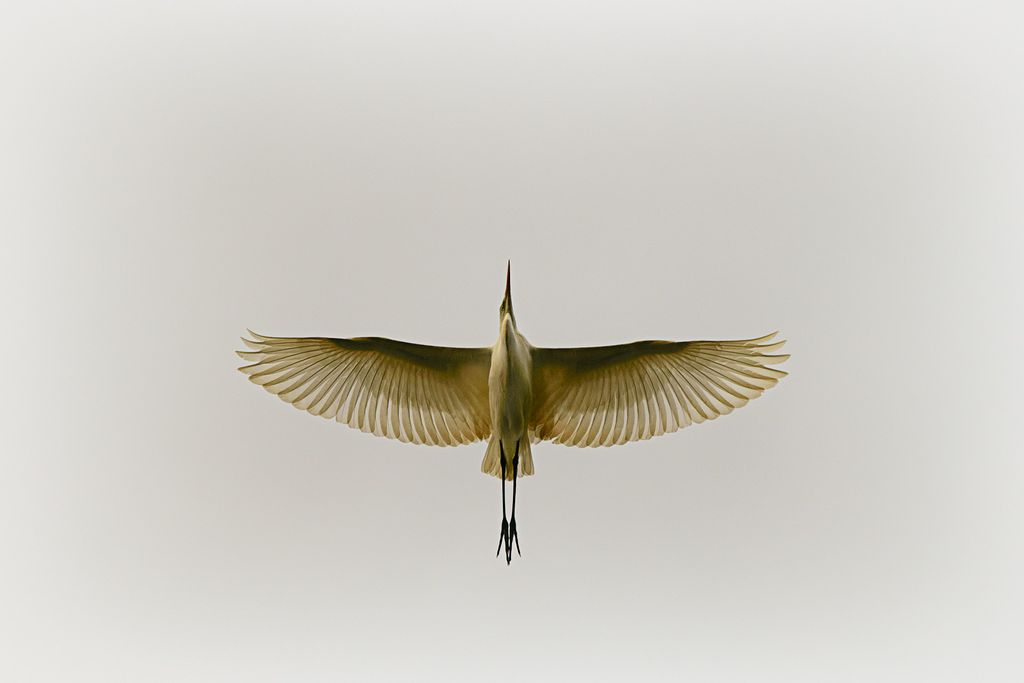 Nutzerfoto 1 Effner Heinz Photography