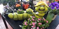 Nutzerfoto 2 Blumengeschäft Brondke