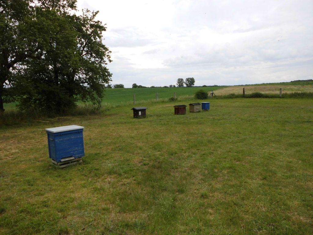 Nutzerfoto 1 Kuhnke Dagmar , Kuhnke Reinhard Imkerei