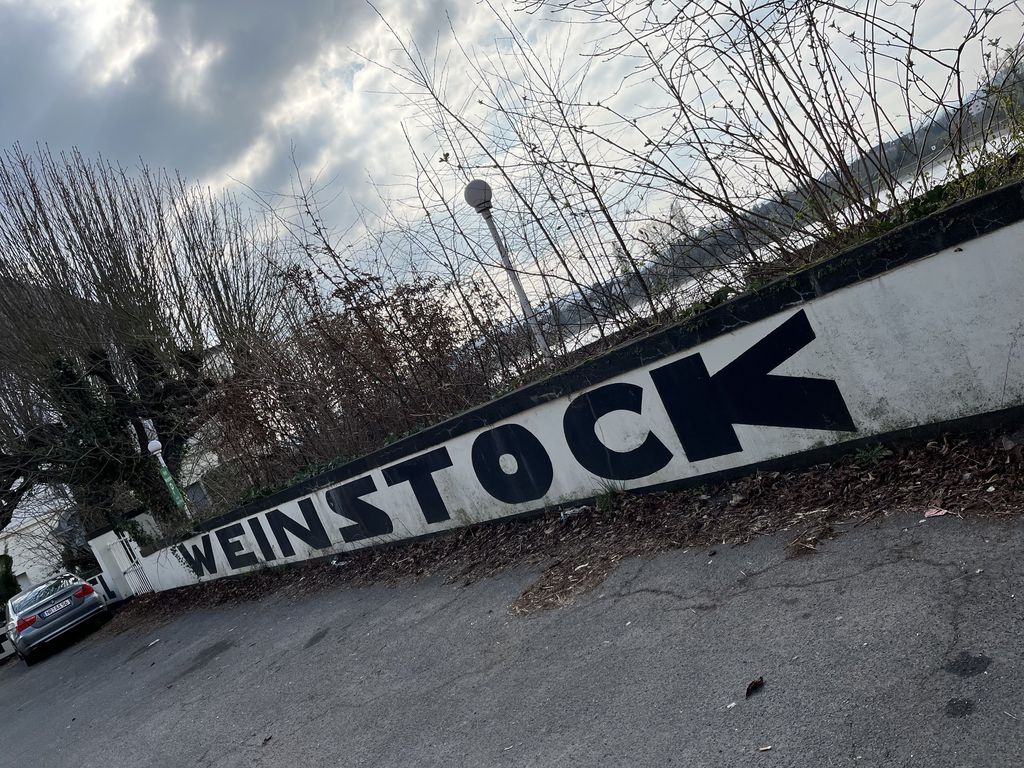 Nutzerfoto 1 Weinstock Jens Metzgerei