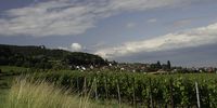 Nutzerfoto 8 Imago Werbegesellschaft mbH