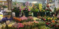 Nutzerfoto 1 Blumenladen Ubhf Alt Mariendorf Cong Tuan Nguyen Einzelunternehmen