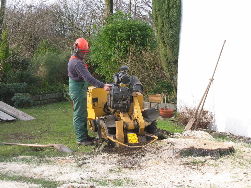 Nutzerfoto 5 Garten- u. Landschaftsbau Kaufmann Markus Dipl.-Ing.