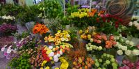 Nutzerfoto 2 Das Blumenhaus