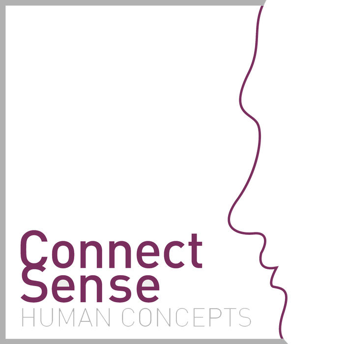 Logo Connect Sense GmbH