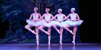 Nutzerfoto 11 Hamelner Ballettschule