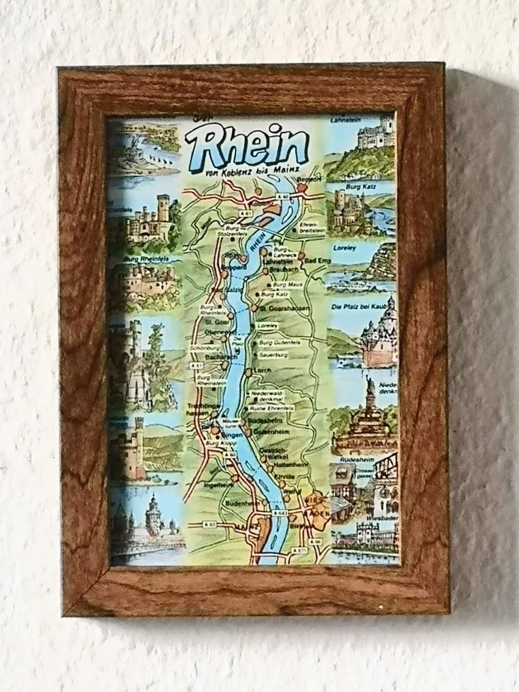 Nutzerfoto 7 Castor Reiner