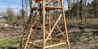 Nutzerfoto 3 MeinHochsitz.de