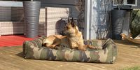 Nutzerfoto 4 Visco4Dogs GbR