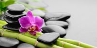 Nutzerfoto 7 Bel Wellness Massagesalon