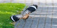 Nutzerfoto 3 Hölzke Manfred