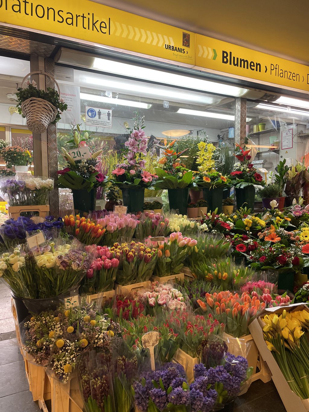 Nutzerfoto 5 Blumenladen Ubhf Alt Mariendorf Cong Tuan Nguyen Einzelunternehmen Nutzerfoto 5 Blumenladen Ubhf Alt Mariendorf Cong Tuan Nguyen Einzelunternehmen